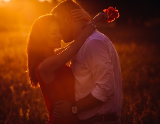 Cerchi l'amore?
